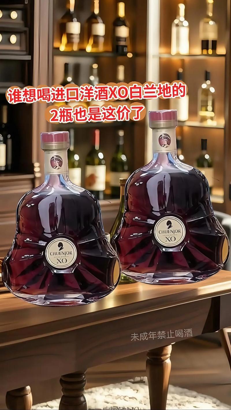 探寻酒世界的瑰宝——揭秘佰世富白兰地的魅力